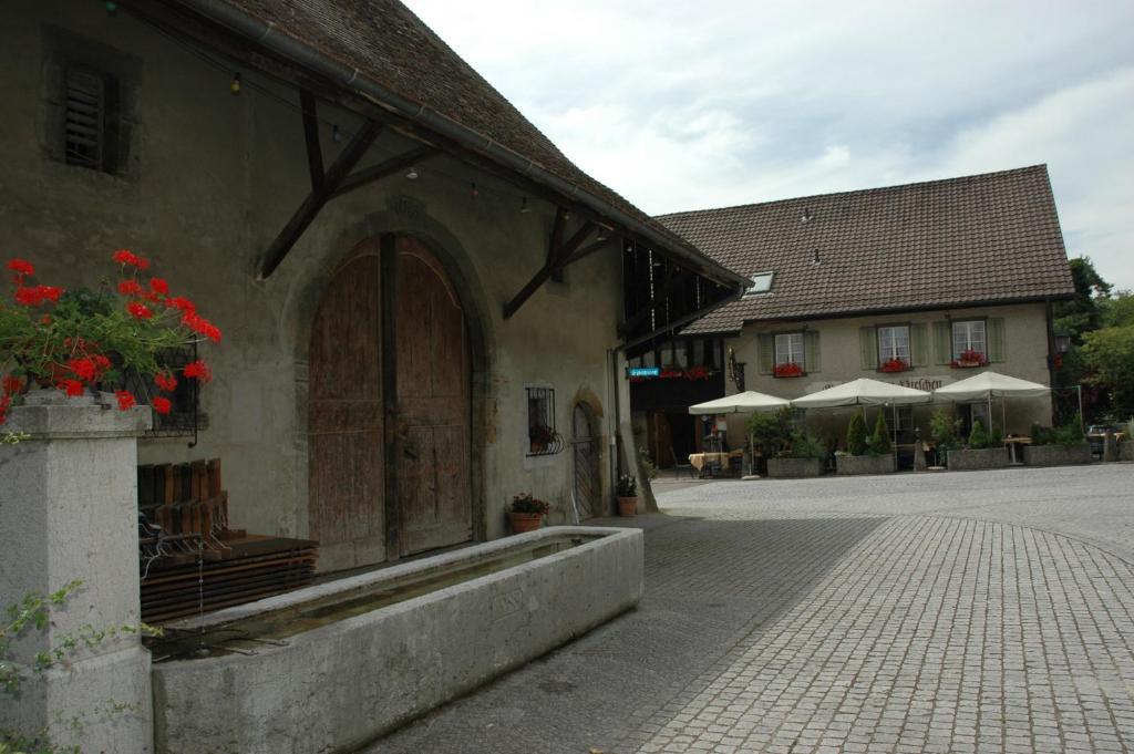 Hirschen