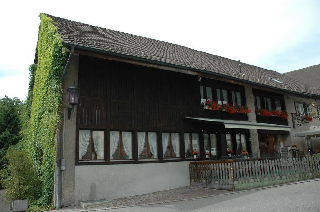 Hirschen Hotel Baden